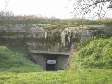 bunker.jpeg